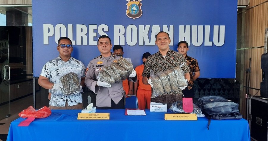 Gelar Konferensi Pers, Kasat Narkoba AKP Riza Effyandi Paparkan Pengungkapan 9 Kilo Lebih Daun Ganja