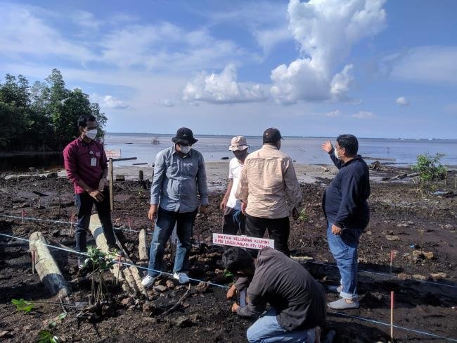 Komitmen LHK Provinsi Riau atas pelaksanaan Riau Hijau, Kadis Donasi 2000 Bibit Mangrove