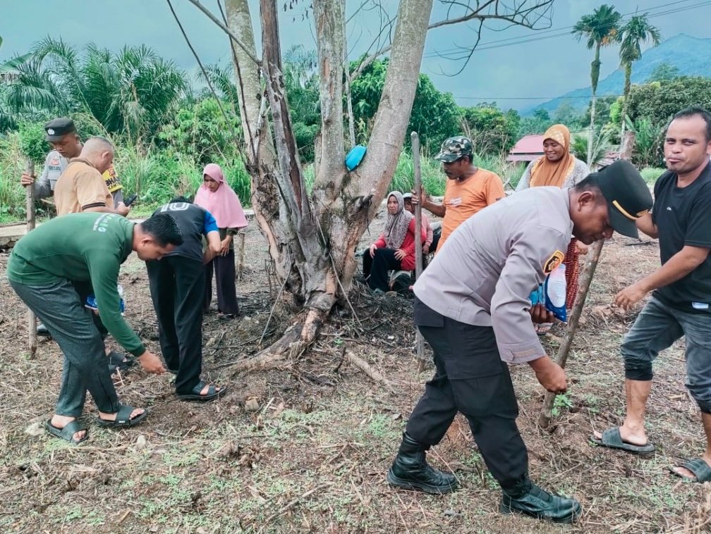 Polsek Rokan IV Koto Dukung Swasembada Pangan, Tanam Jagung di Cipang Kiri Hulu
