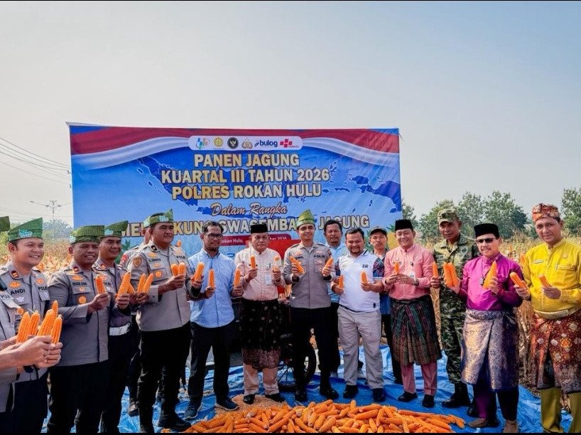 Polres Rokan Hulu Panen Jagung, Perkuat Program Swasembada Pangan Nasional