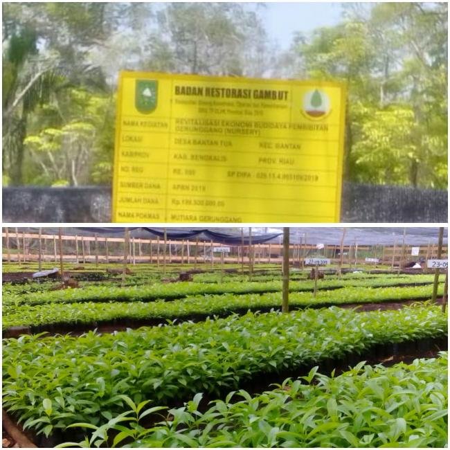 Bahagian Petani Dapat Bantuan Pemerintahan Provinsi Riau