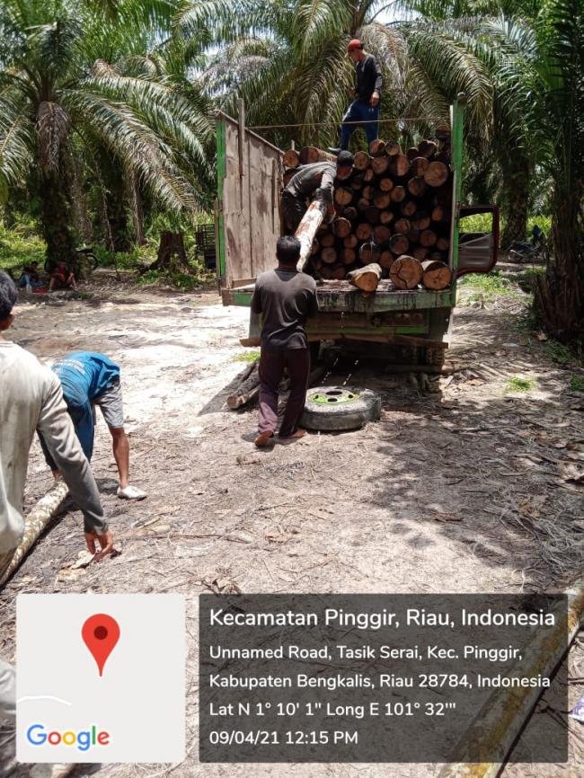 Dugaan Perusakan Lingkungan Hutan Biosfer Nyawa Pak RT Terancam