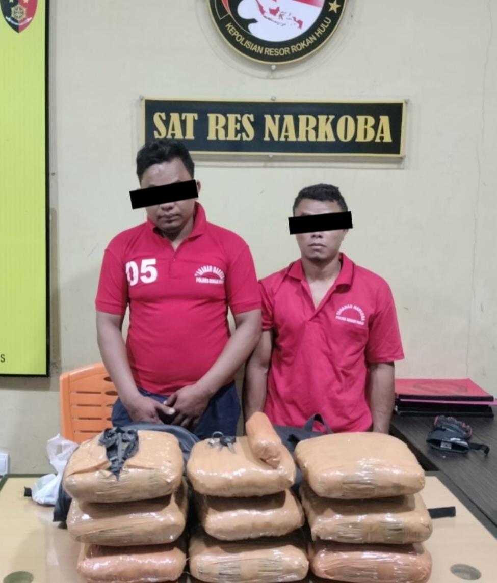 Kasat Narkoba Polres Rohul AKP Riza Effyandi Gagalkan Peredaran Daun Ganja Kering 9,1 Kg