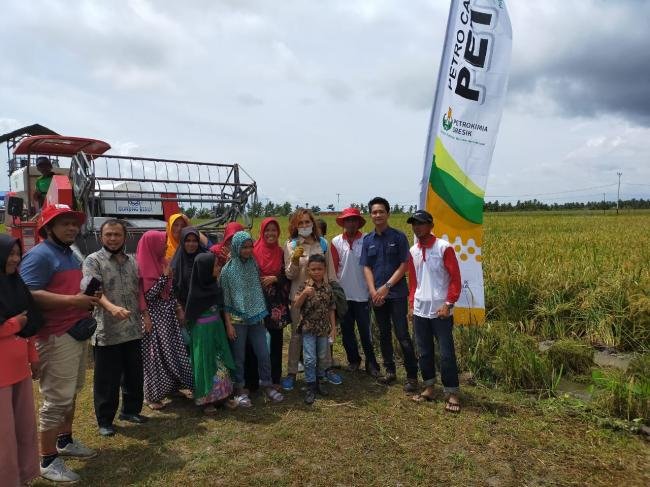 Cv. Kuala Raja Optimis Bisa Membantu Masyarakat Mendapatkan Hasil Produksi Panen Padi Memuaskan