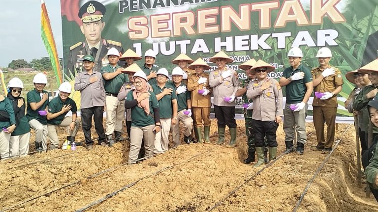 Bupati H Sukiman Menghadiri Penanaman Jagung Serentak Satu Juta Hektar Di PT Sawit Indah Asahan