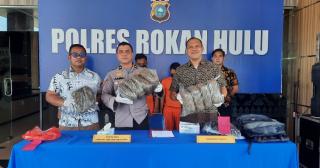 Gelar Konferensi Pers, Kasat Narkoba AKP Riza Effyandi Paparkan Pengungkapan 9 Kilo Lebih Daun Ganja