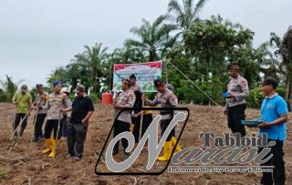 Polsek Rambah Samo Gelar Penanaman Jagung Pipil Kuartal II di Marga Mulya