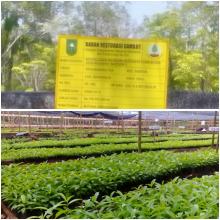 Bahagian Petani Dapat Bantuan Pemerintahan Provinsi Riau