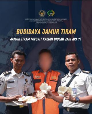 Warga Binaan Lapas Pasir Pangarayan Terus Budidaya Jamur Tiram sebagai Bekal Kemandirian