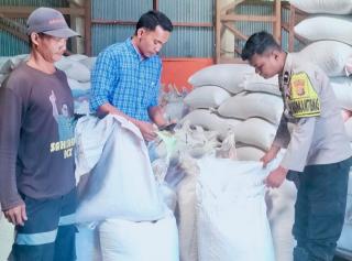 Polsek Tambusai Sukseskan Serapan 5 Ton Jagung Petani ke Bulog