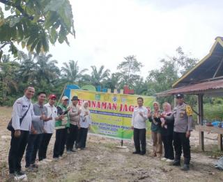Polsek Rokan IV Koto Wujudkan Ketahanan Pangan Lewat Penanaman Jagung