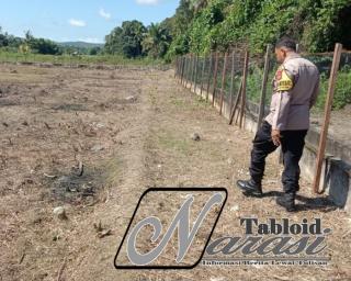 Wujudkan Ketahanan Pangan Polsek Rokan 1V Koto Dampingi Petani Jagung