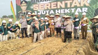 Bupati H Sukiman Menghadiri Penanaman Jagung Serentak Satu Juta Hektar Di PT Sawit Indah Asahan