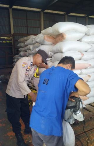 Dukung Ketahanan Pangan, Polsek Tambusai Dampingi Petani Serap Jagung ke Bulog